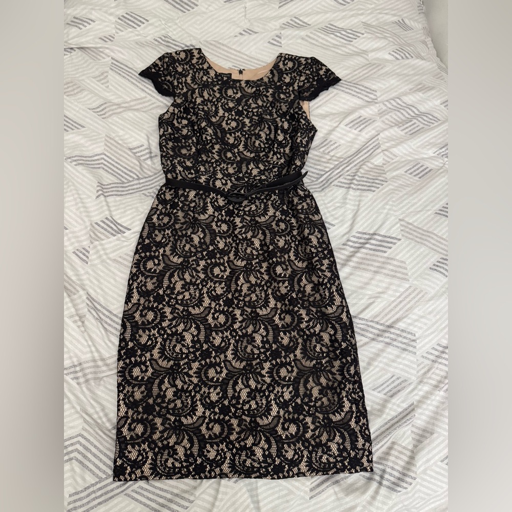 Talbots Black and Tan Sheath Dress with Flutter Sleeves NEW WITH TAGS